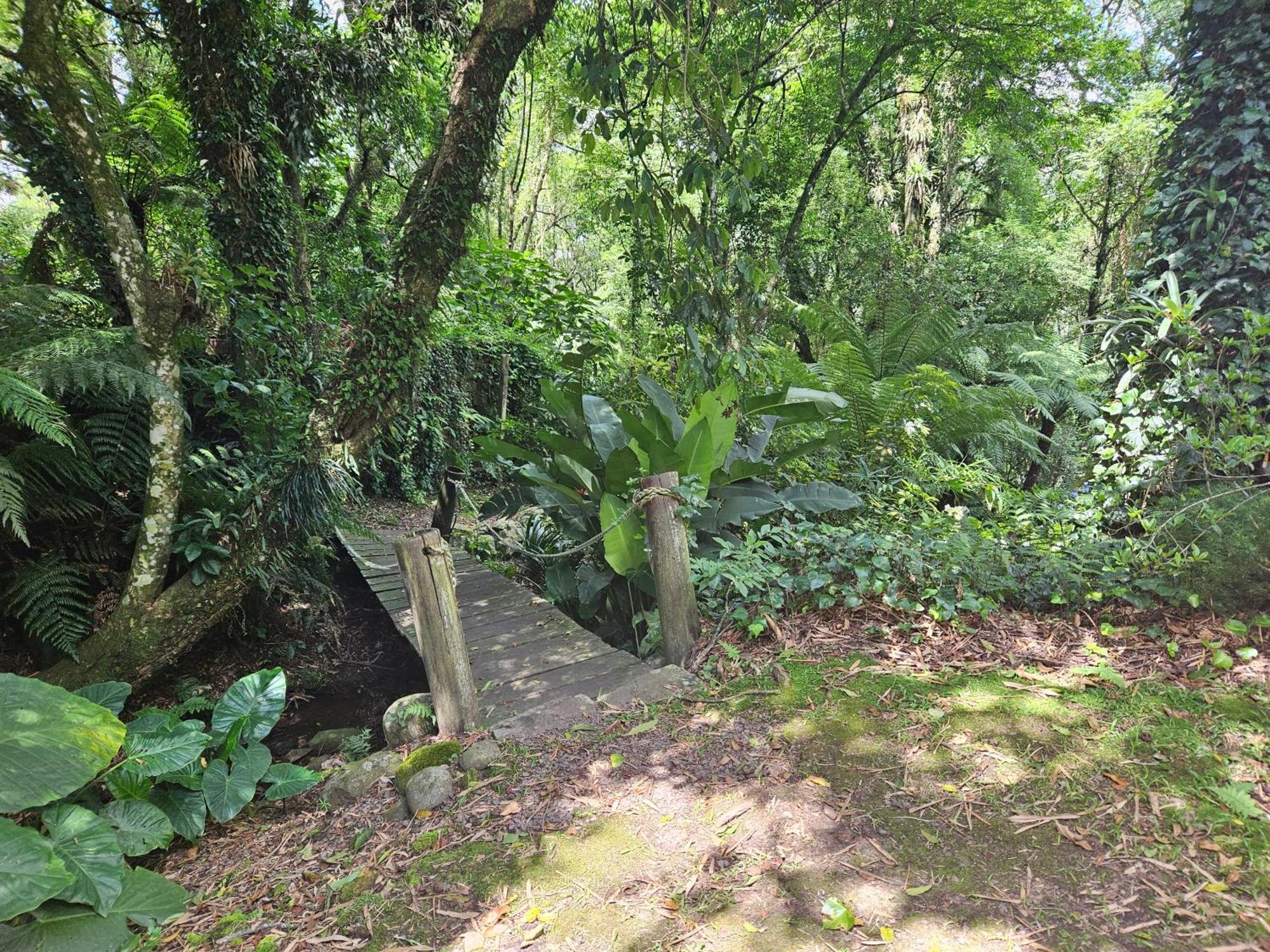 Cantinho Das Oliveiras. Gramado Kültér fotó
